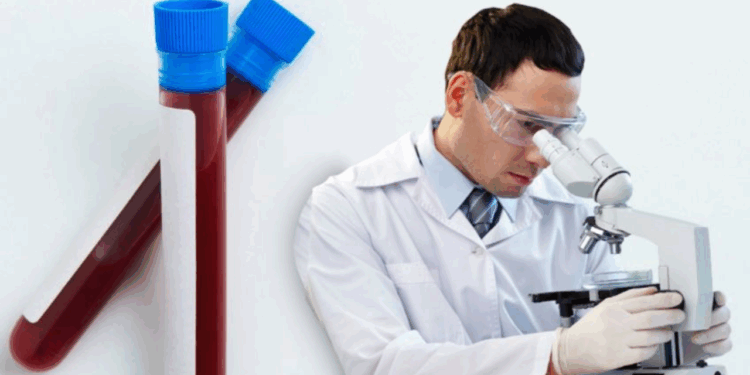 Japón crea sangre artificial compatible con todos los tipos; esta es la fecha en la que se implementará su uso