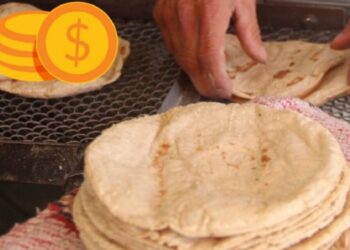 ¿En cuánto quedará el precio de la tortilla tras Acuerdo Nacional de reducirlo en 5% y 10%?