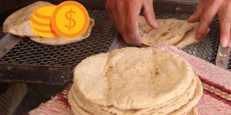 ¿En cuánto quedará el precio de la tortilla tras Acuerdo Nacional de reducirlo en 5% y 10%?