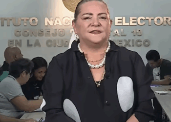 El INE definirá hoy conteo de participación ciudadana en Elección Judicial: Guadalupe Taddei