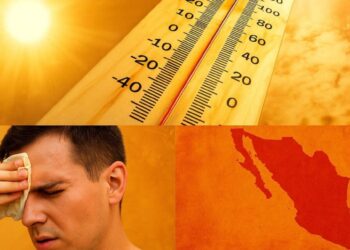 Canícula en México: ¿Qué hacer ante un golpe de calor?