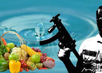 Comerciantes en Culiacán temen por seguridad tras identificar a exempleados en el crimen organizado