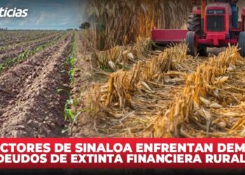 Productores de Sinaloa enfrentan demandas por adeudos de extinta Financiera Rural: COUC