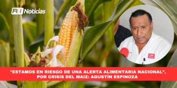 “Estamos en riesgo de una alerta alimentaria nacional”, por crisis del maíz: Agustín Espinoza