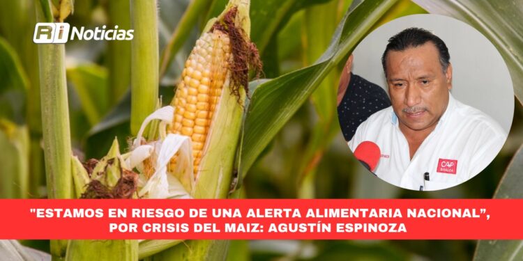 “Estamos en riesgo de una alerta alimentaria nacional”, por crisis del maíz: Agustín Espinoza