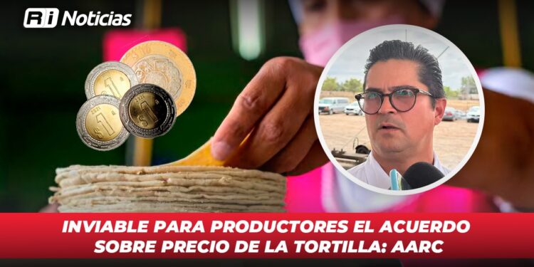 Inviable para productores el acuerdo sobre precio de la tortilla: AARC
