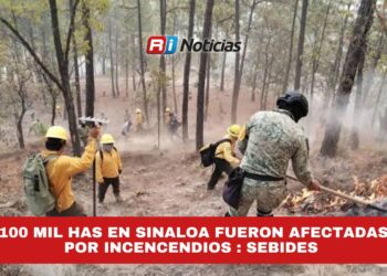 100 mil has en Sinaloa fueron afectadas por incencendios : SEBIDES
