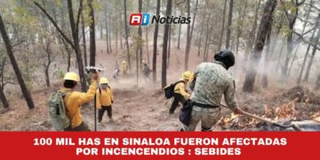 100 mil has en Sinaloa fueron afectadas por incencendios : SEBIDES