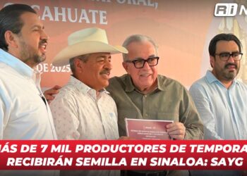 Más de 7 mil productores de temporal recibirán semilla en Sinaloa: SAyG