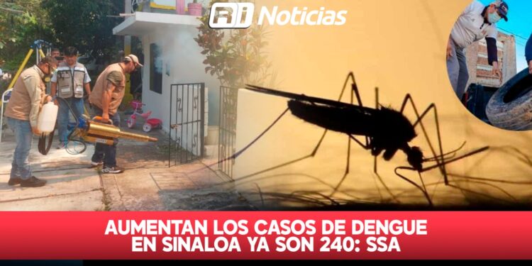 El desabasto de medicamentos en Sinaloa es del 60%: SSA