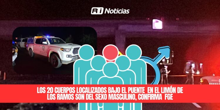 Los 20 cuerpos localizados bajo el puente en el Limón de los Ramos son del sexo masculino, confirma FGE