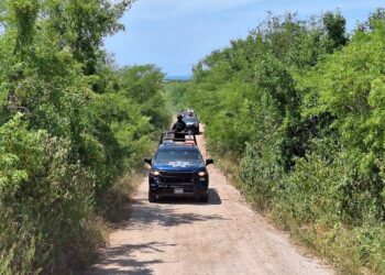 Localizan tres hombres asesinados en Los Pochotes, Navolato