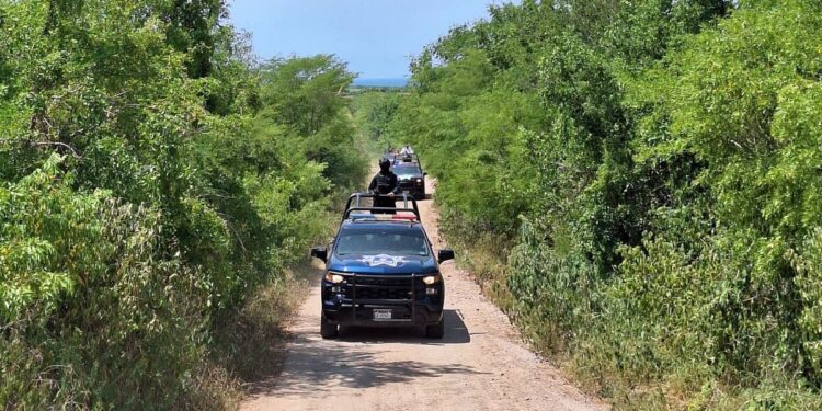 Localizan tres hombres asesinados en Los Pochotes, Navolato