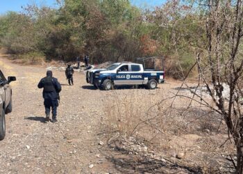 Encuentran a dos jóvenes sin vida en la Isla Musalá, en Culiacán