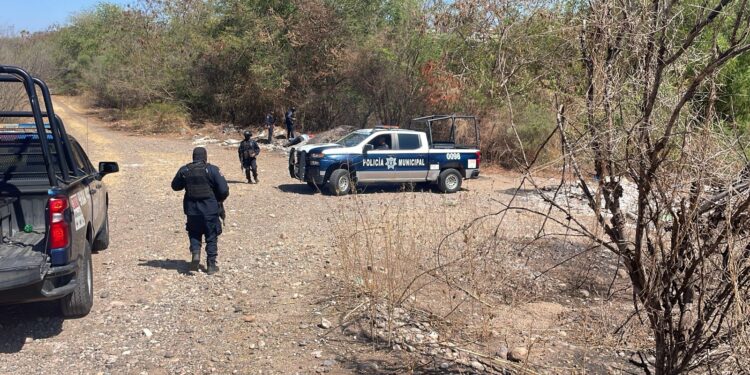 Encuentran a dos jóvenes sin vida en la Isla Musalá, en Culiacán