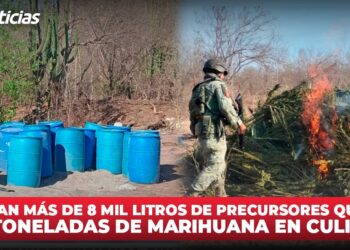 Incautan más de 8 mil litros de precursores químicos y 1.6 toneladas de marihuana en Culiacán