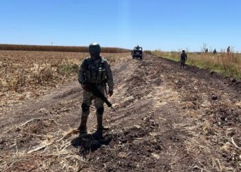 Localizan cuerpo putrefacto en una parcela en Navolato