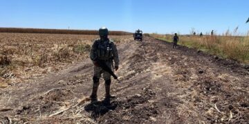 Localizan cuerpo putrefacto en una parcela en Navolato