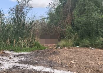 Localizan Sabuesas Guerreras el cuerpo de una mujer al norte de Culiacán