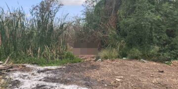 Localizan Sabuesas Guerreras el cuerpo de una mujer al norte de Culiacán