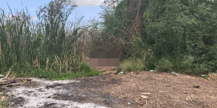 Localizan Sabuesas Guerreras el cuerpo de una mujer al norte de Culiacán