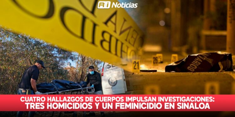 Cuatro hallazgos de cuerpos impulsan investigaciones: Tres homicidios y un feminicidio en Sinaloa