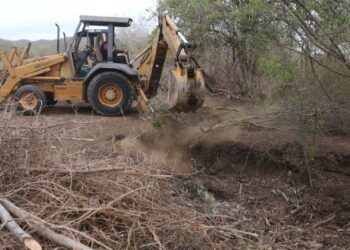 Para mitigar la sequía, construirán 25 abrevaderos para cuenca lechera de Mazatlán
