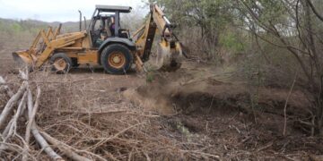 Para mitigar la sequía, construirán 25 abrevaderos para cuenca lechera de Mazatlán