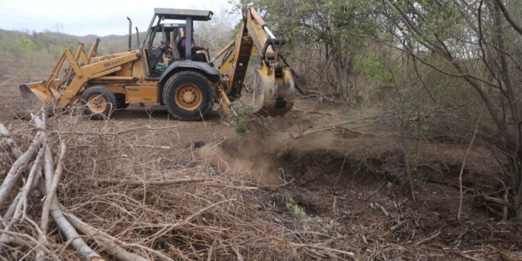 Para mitigar la sequía, construirán 25 abrevaderos para cuenca lechera de Mazatlán