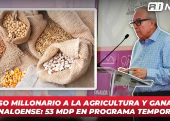 Impulso millonario a la agricultura y ganadería Sinaloense: 53 mdp en programa Temporal
