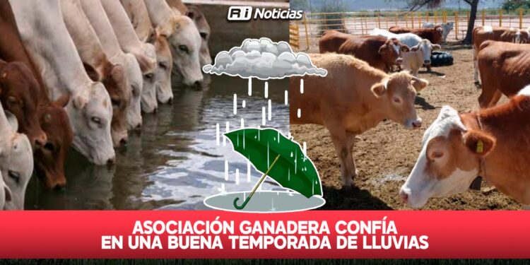 Asociación Ganadera confía en una buena temporada de lluvias