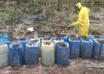 En Culiacán y Cosalá, Grupo Interinstitucional asegura 3 áreas de concentración de sustancias químicas y un laboratorio inactivo