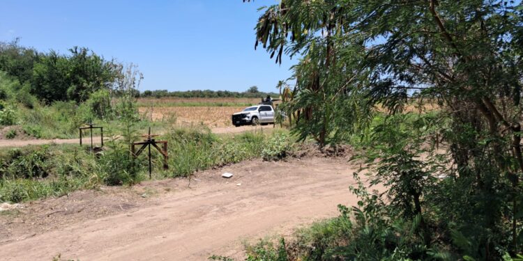 Se enfrentan Militares y civiles armados en El Alamito, en Navolato