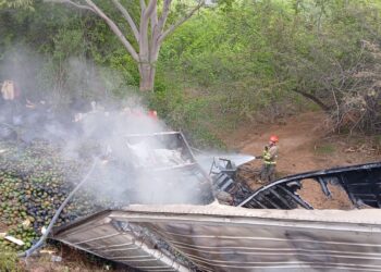 Vuelca tráiler cargado con aguacates en la Mazatlán-Tepic; el conductor pierde la vida