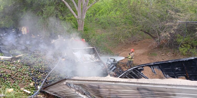 Vuelca tráiler cargado con aguacates en la Mazatlán-Tepic; el conductor pierde la vida