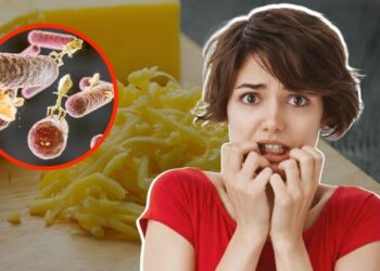 Retiran de todas las tiendas famosa marca de QUESO CHEDDAR, está contaminado con BACTERIA peligrosa para niños