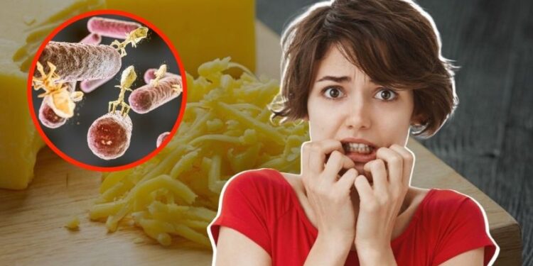 Retiran de todas las tiendas famosa marca de QUESO CHEDDAR, está contaminado con BACTERIA peligrosa para niños