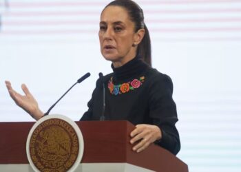 Sheinbaum: Maltrato animal es reflejo de lo que podría aumentar en términos de violencia; destaca ley de protección animal