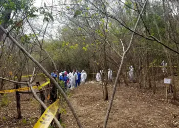Especialistas y buscadores de personas desaparecidas afinan método para localizar fosas mediante flores y animales