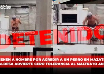 Detienen a hombre por agredir a un perro en Mazatlán; Alcaldesa advierte cero tolerancia al maltrato animal