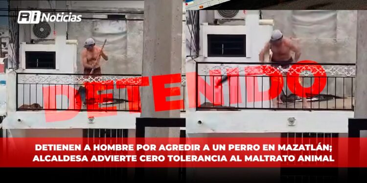 Detienen a hombre por agredir a un perro en Mazatlán; Alcaldesa advierte cero tolerancia al maltrato animal