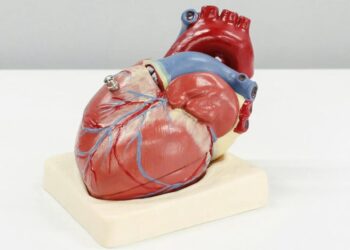 Primer trasplante de corazón en Latinoamérica cumple 37 años; se hizo en México de forma ‘ilegal’