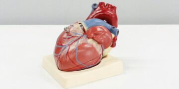 Primer trasplante de corazón en Latinoamérica cumple 37 años; se hizo en México de forma ‘ilegal’