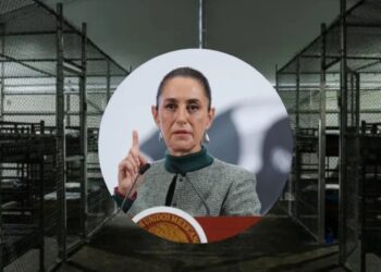 Hay 14 mexicanos detenidos en la cárcel ‘Alligator Alcatraz’ de Florida., confirma Sheinbaum
