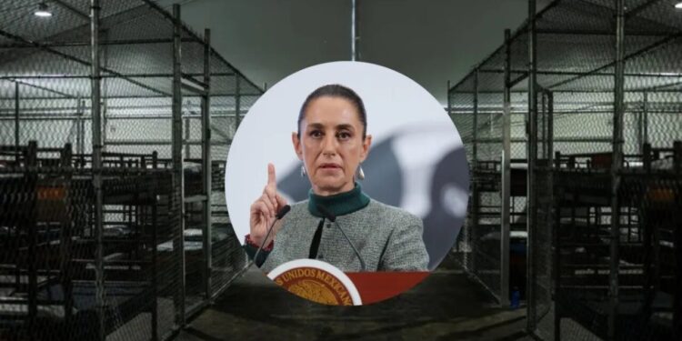 Hay 14 mexicanos detenidos en la cárcel ‘Alligator Alcatraz’ de Florida., confirma Sheinbaum