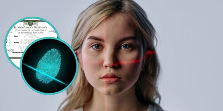 CURP biométrica: ¿Cuáles serían las partes de tu cuerpo que escanearán para identificarte?