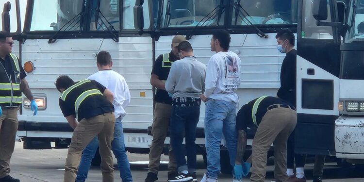 “Estaremos felices de ayudar”: Florida invita a reportar a los ex para deportarlos de EE.UU.