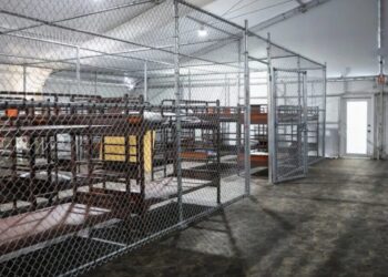 Migrantes describen un infierno en el centro de detención ‘Alligator Alcatraz’