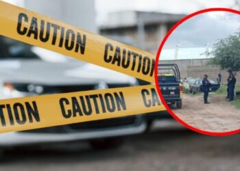 Encuentran a bebé en un terreno baldío, perros se comieron parte del cuerpo