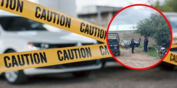 Encuentran a bebé en un terreno baldío, perros se comieron parte del cuerpo